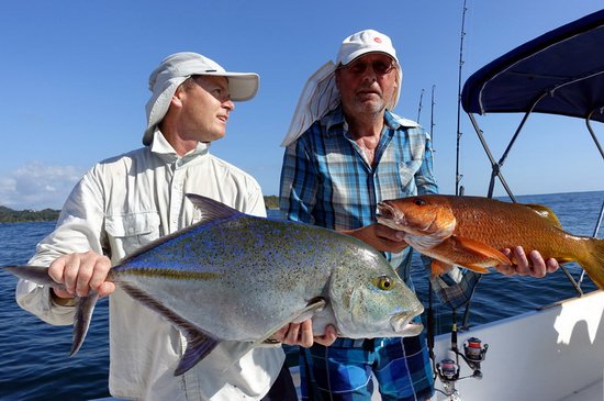 kranas modroploutvy-bluefin 73 cm a chnapal zlutoocasy kranas modroploutvy-bluefin 73 cm a chnapal zlutoocasy