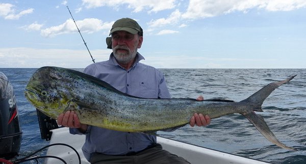dorado 132 cm ulovene na popp dorado 132 cm ulovene na popp