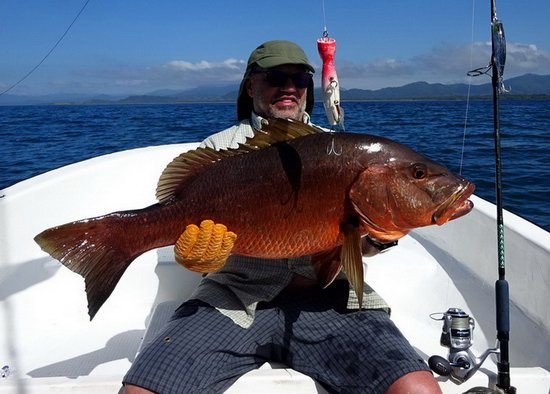 chnapal - cubera snapper 86 cm uloveny na popp chnapal - cubera snapper 86 cm uloveny na popp