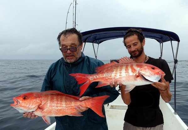 chnapali (pargo seda) 62 cm a 68 cm uloveni na jig