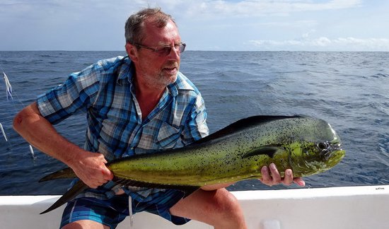 dorado 118 cm ulovene na trolling dorado 118 cm ulovene na trolling