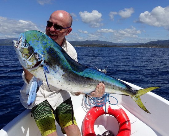 dorado 130 cm ulovene na popp dorado 130 cm ulovene na popp
