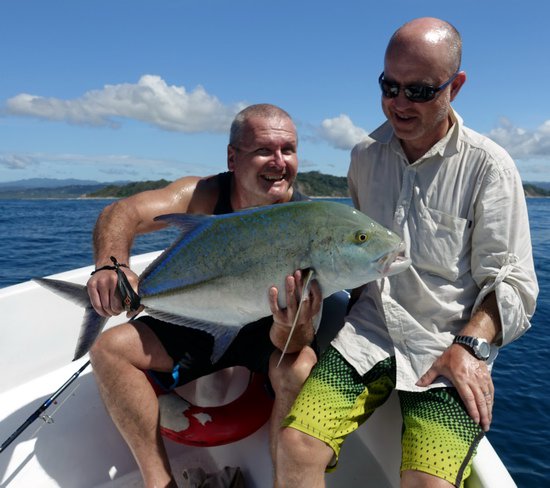 kranas modroploutvy-bluefin 75 cm kranas modroploutvy-bluefin 75 cm