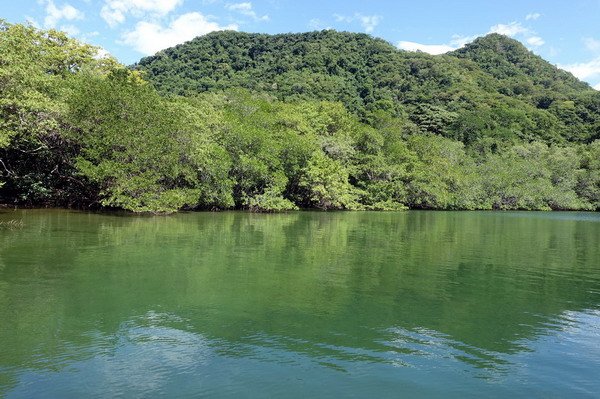 zatoka s porosty mangrovu - NP Santa Rosa