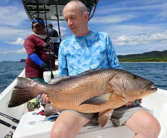 chnapal - cubera snapper 101 cm chnapal - cubera snapper 101 cm