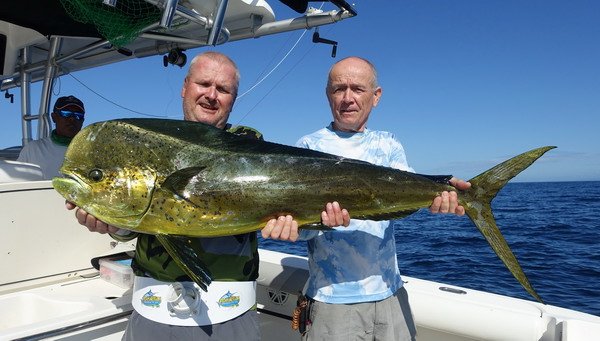 dorado 127 cm ulovene na trolling