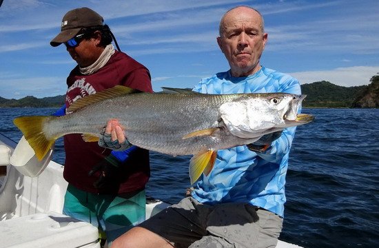 smuha - corvina - Cynoscion albus ulovena na jig smuha - corvina - Cynoscion albus ulovena na jig