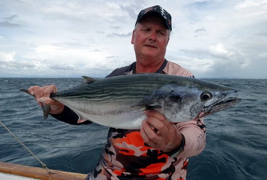 tunak - atun sierra 69 cm uloveny na jig tunak - atun sierra 69 cm uloveny na jig