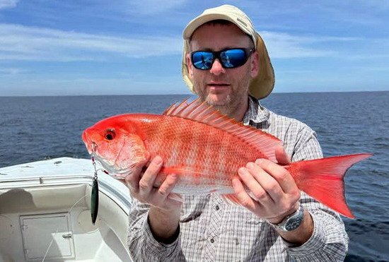 chnapal - snapper uloveny na jig, Kostarika v breznu chnapal - snapper uloveny na jig, Kostarika v breznu