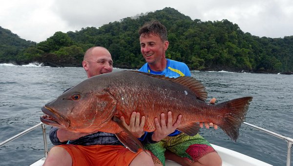 chnapal - cubera snapper 110 cm uloveny na popp