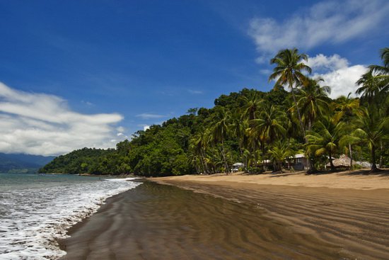 hotel Golden Bahia na piscite plazi