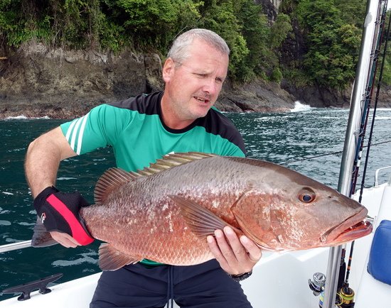 chnapal - cubera snapper 74 cm uloveny na jerk