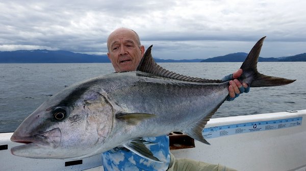 kranas oceansky-amberjack 105 cm kranas oceansky-amberjack 105 cm