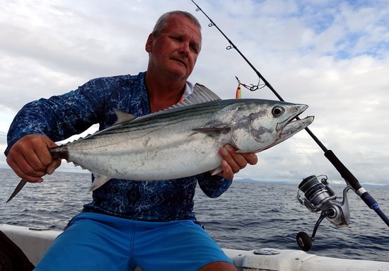 tunak albacore 73 cm uloveny na jig