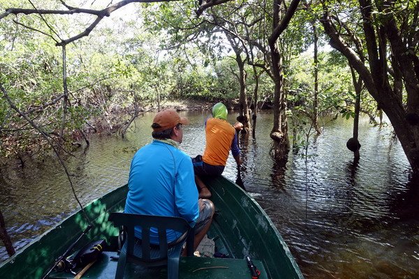 prujezd do laguny zaplavenym lesem prujezd do laguny zaplavenym lesem