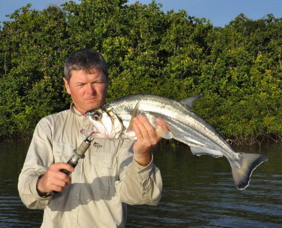 zubatice - payara 65 cm ulovena na jerk zubatice - payara 65 cm ulovena na jerk