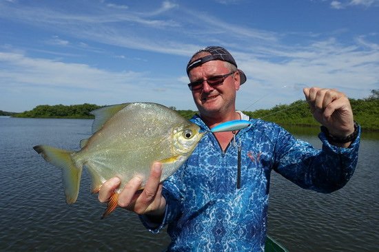 plodozrava pirana - palometa