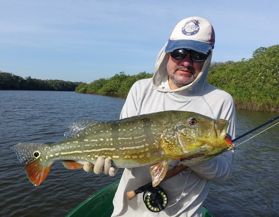 cichlida ocasooka 65 cm ulovena na musku-streamer