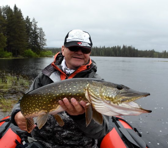 stika 86 cm, pritok do jezera Avatrask