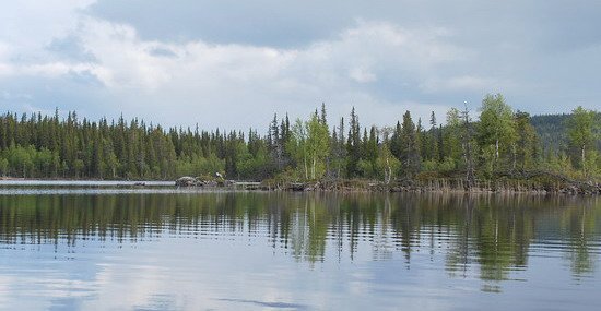 Umealven - jezero Umealven - jezero