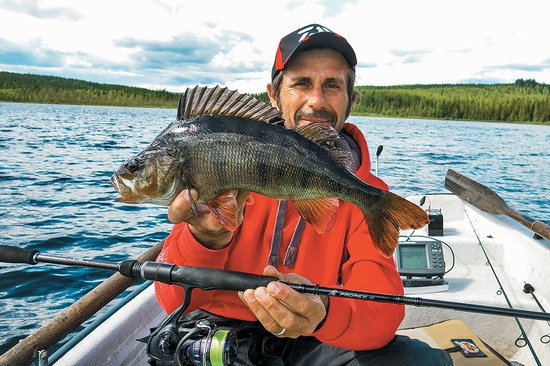 Okouni přes 40 cm se ulovit dají, , často to však vyžaduje hodně úsilí Okouni přes 40 cm se ulovit dají, , často to však vyžaduje hodně úsilí