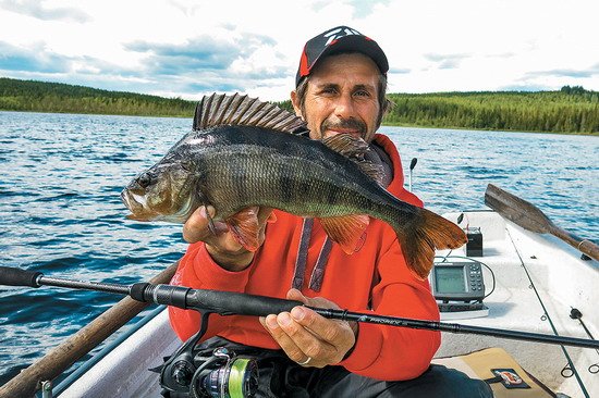 Okouni přes 40 cm se ulovit dají, , často to však vyžaduje hodně úsilí