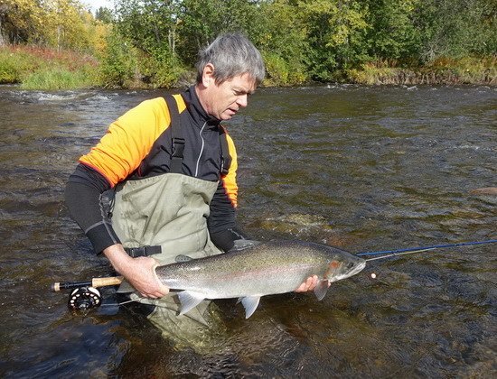 tazna forma - steelhead, navrat na svobodu