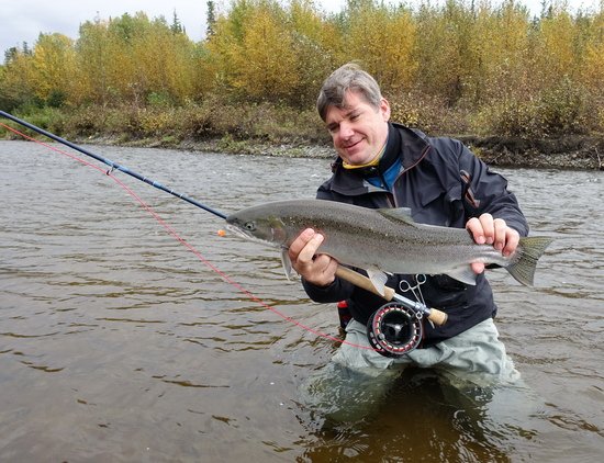 tazna forma pstruha duhoveho - steelhead