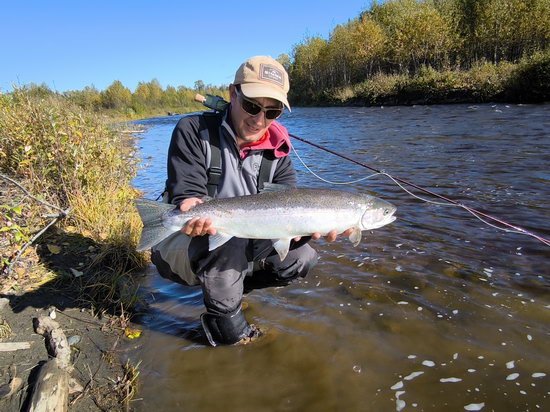 Steelhead 70 cm na mušku "egg sucking leech" Steelhead 70 cm na mušku "egg sucking leech"