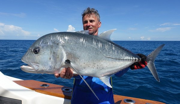 kranas obrovsky - GT 92 cm, Caranx ignobilis kranas obrovsky - GT 92 cm, Caranx ignobilis