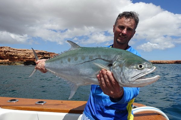 kranas kralovsky - queenfish, Scomberoides commersoniannus