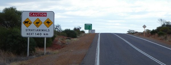 Australie - pozor na zver pri cestovani po silnicich