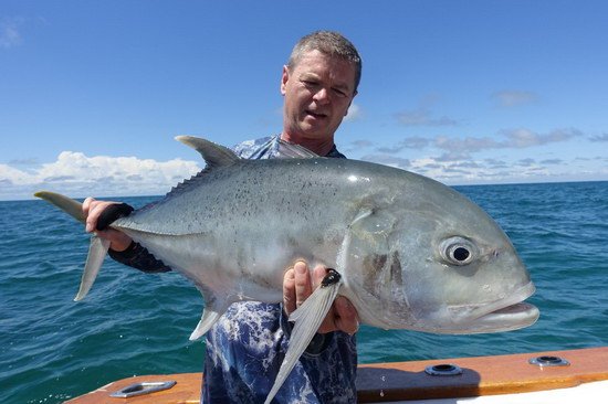 kranas papuansky 92 cm, Caranx papuensis, brassy trevally