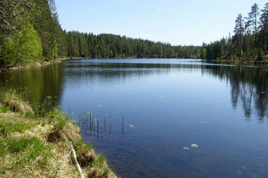 pstruhove jezirko Ljustjarn pstruhove jezirko Ljustjarn
