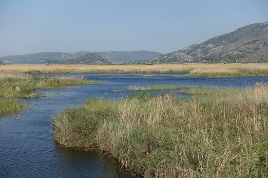 labyrint vody, rakosin a mokradu pred Kuti Fishing Lodge labyrint vody, rakosin a mokradu pred Kuti Fishing Lodge