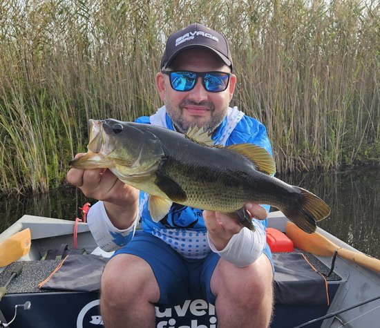 Krásně stavěný bass 47 cm Krásně stavěný bass 47 cm