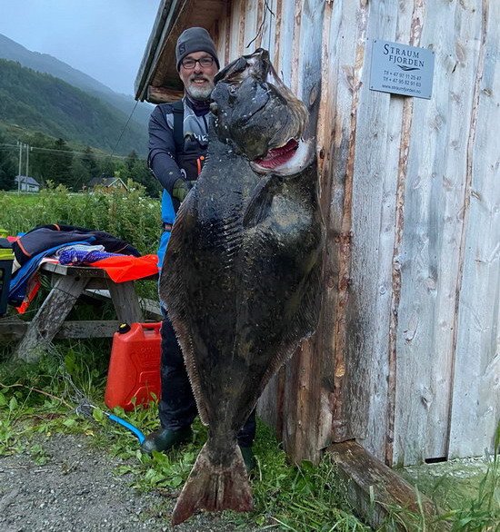 Straumfjorden - půlnoční halibut 155 cm, 39 kg