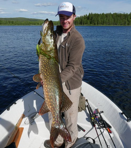 cervencova stika z Gafsele - hranice 110 cm prekonana cervencova stika z Gafsele - hranice 110 cm prekonana
