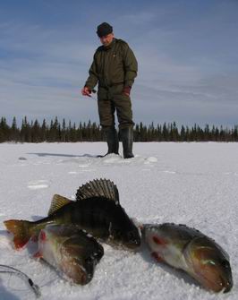 Laponsko - lov ryb na dirkach