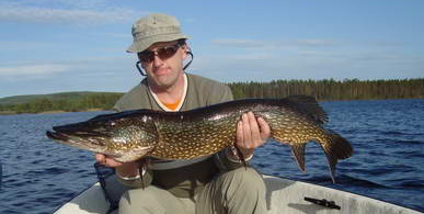 stika 107 cm, reka Angermanalven, 1. cerven stika 107 cm, reka Angermanalven, 1. cerven