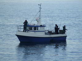 lod 8 m s echo-GPS-plotterem a dieslem 130 HP lod 8 m s echo-GPS-plotterem a dieslem 130 HP