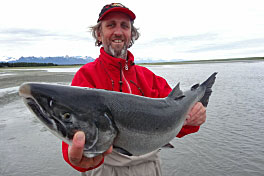 losos kisuc - coho, zari losos kisuc - coho, zari