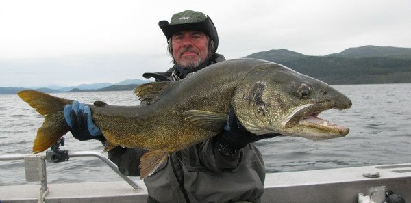 siven namaycush 104 cm, srpen siven namaycush 104 cm, srpen