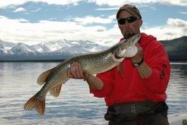 Stika 90 cm ulovena na streamer - Kloo Lake Stika 90 cm ulovena na streamer - Kloo Lake