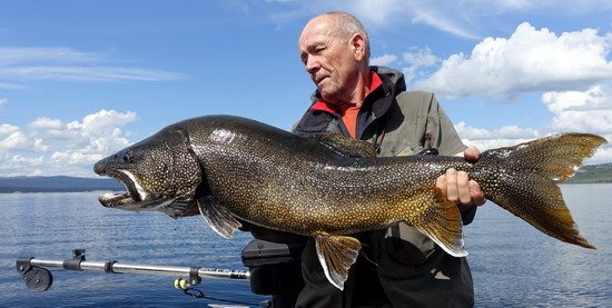 siven obrovsky - namaycush delky 109 cm uloveny z lode na gumovou rybku