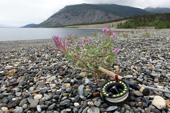 na brehu jezera Kluane