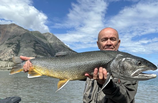 siven obrovsky-namaycush 90 cm z jezera Kluane