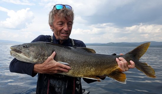 siven obrovsky - namaycush delky 103 cm uloveny z lode na gumovou rybku