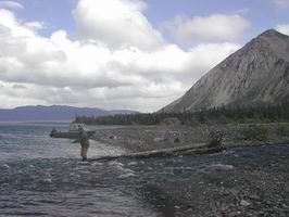 Kathleen Lake - muskareni u pritoku Kathleen Lake - muskareni u pritoku