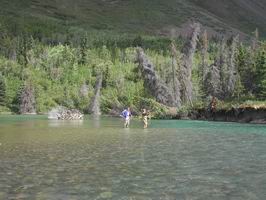 Kathleen Lake - muskareni na pritoku Kathleen Lake - muskareni na pritoku